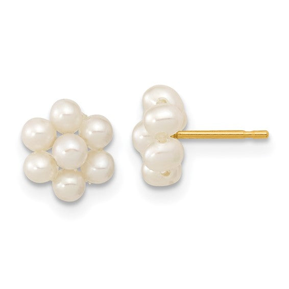 Freshwater Cultured Pearl Earrings in 14K Yellow Gold